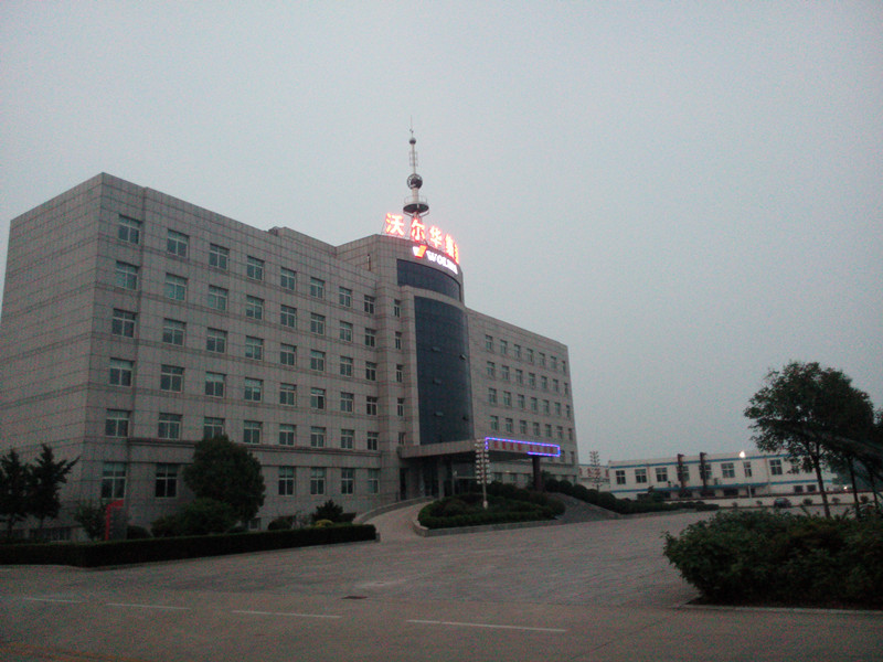 夜色中的狗子28办公楼